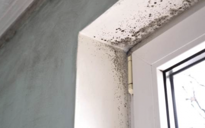 MOLDY ACCIDENTS IN YOUR APARTMENT